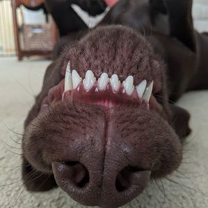 Meet your Posher, Marion